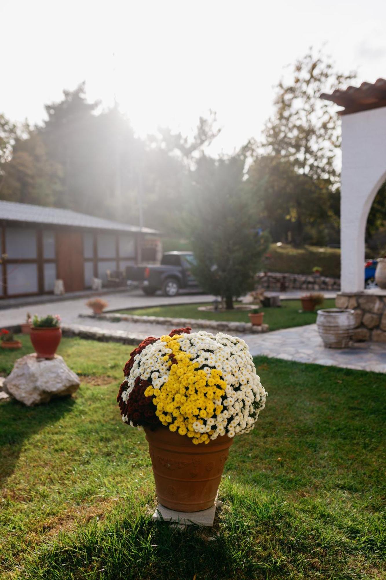 Apolithomeno Dasos Holiday Villas Near Alexandroupolis Lefkimmi  Bagian luar foto